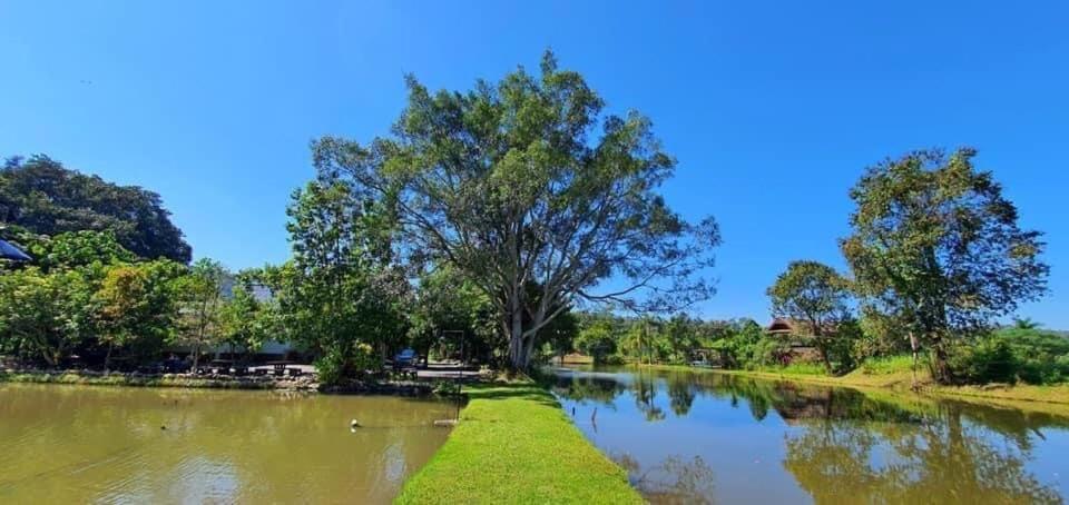 Homdoiintr Farmstay ฮ่อมดอยอินทร์ ฟาร์มสเตย์ Ban Huai Kaeo Ngoại thất bức ảnh