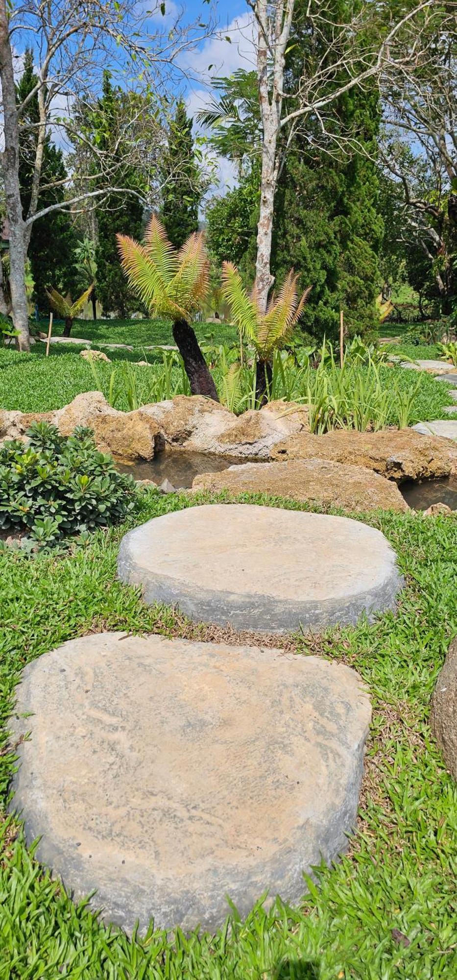 Homdoiintr Farmstay ฮ่อมดอยอินทร์ ฟาร์มสเตย์ Ban Huai Kaeo Ngoại thất bức ảnh