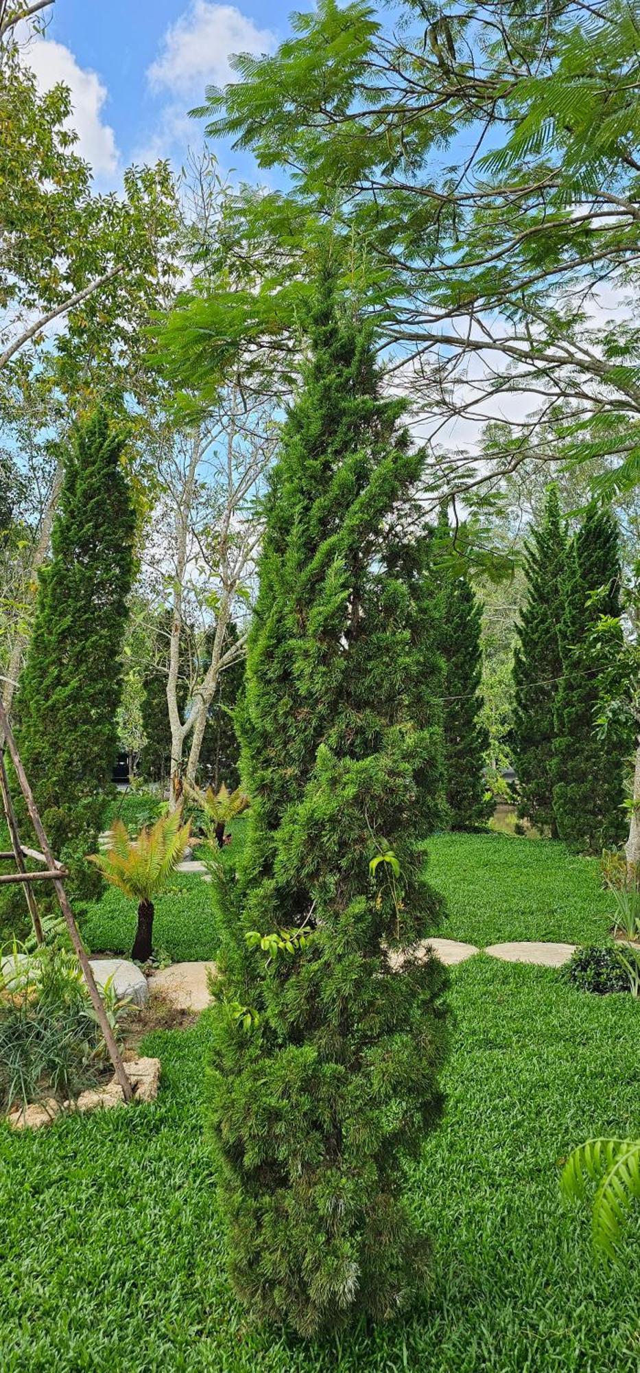 Homdoiintr Farmstay ฮ่อมดอยอินทร์ ฟาร์มสเตย์ Ban Huai Kaeo Ngoại thất bức ảnh