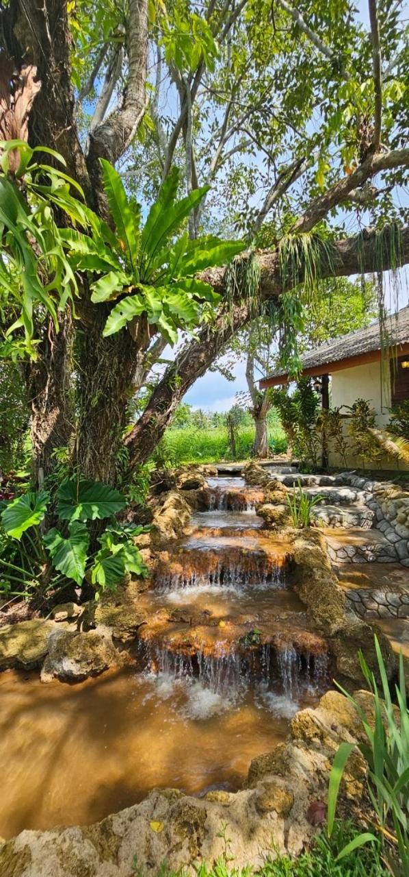 Homdoiintr Farmstay ฮ่อมดอยอินทร์ ฟาร์มสเตย์ Ban Huai Kaeo Ngoại thất bức ảnh